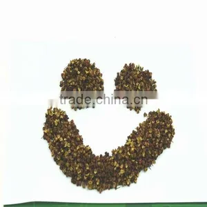 High Quality Black Pepper thumbnail-1