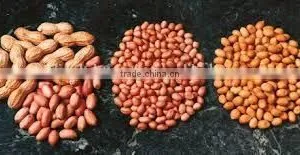 High Quality Peanuts thumbnail-1