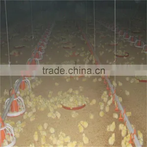 UAE Chicken Farm Poultry Equipment for Sale thumbnail-3