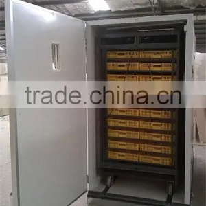 Automatic Ostrich Egg Incubator for Ostrich Farm WQ-5280 thumbnail-3