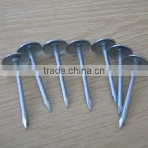 Umbrealla Nail With Roofing Head and Thread Nail Body thumbnail-6