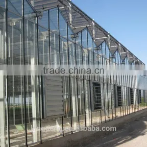 Venlo Tempered Glass/float Glass Greenhouse With Hydroponic Growing thumbnail-2