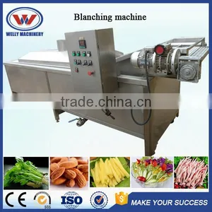 Hot Sale Factory Price Advanced Design Vegetable and Fruit Blanching Machine thumbnail-1