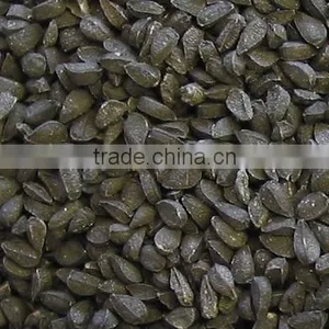 Nigella Seeds thumbnail-1