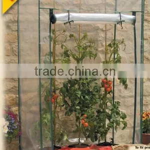 Tomato Greenhouse thumbnail-1