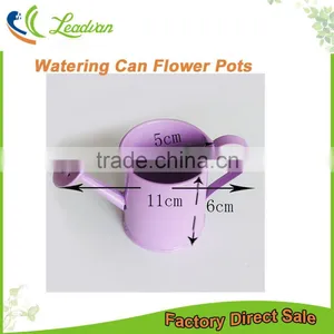 Cheap Small Indoor 2 or 2.5 Inches White Metal Flower Watering Can Mini Planter for Succulents thumbnail-1