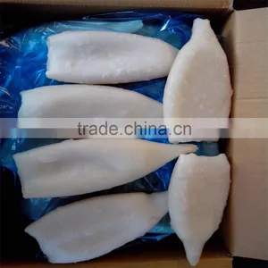 Frozen Pacific Loligo Squid Tube U5 U7 U10 thumbnail-3