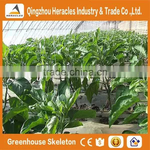 Heracles China Factory Direct Multi Span Green Houses ForAgriculture With Plastic Film on Best Price thumbnail-1