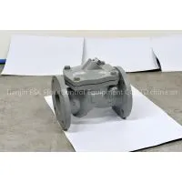 CV43 Swing-flex Check Valves thumbnail-2