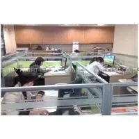 Door to Door Shipping Service From China to Europe thumbnail-2