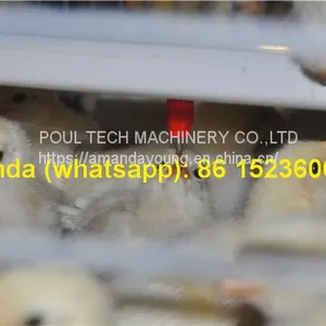 Tajikistan Chicken Farming With Poultry Cage for Chicken Feed for Brooding Chicks in Poultry Farming With Chicks Cage thumbnail-2