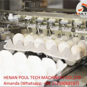 Egg Grading Machine for Sale 3000 - 10000 Eggs/Hour thumbnail-1