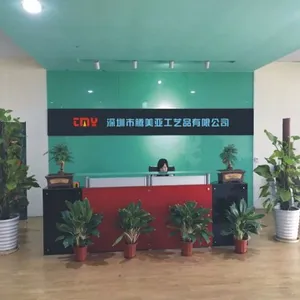 Shenzhen TMY Arts & Crafts Co., Ltd. company overview - view 1 thumbnail