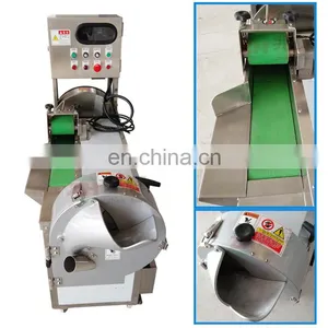 Multifunction Electric Onion Cutter Potato Shredding Machine Letture Cutting Machine Apple Fruit Cutting Machine thumbnail-6