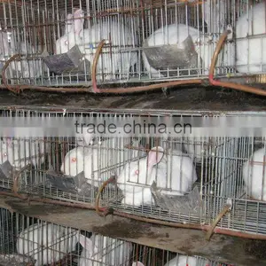 Poultry Nipple Automatic Stainless Steel Rabbit Nipple Drinker thumbnail-4