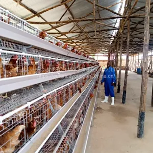 Battery Chicken Cage for Layer Poultry Farming thumbnail-1