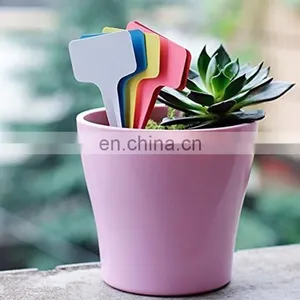 Plastic Waterproof Plant Labels thumbnail-1