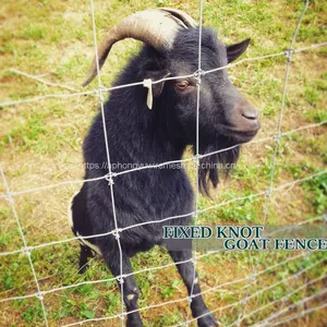 Farm Fence Field Fence Goat Cattle Deer Stock Fencing Grassland Hinge Joint Fixed Knot Fence High Tensile Strenght thumbnail-3