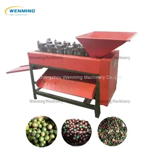 Commerical Macadamia Dehusker Machine Peeler for Macadamia thumbnail-4