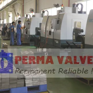 Hengyang Perma Valves Co.,Ltd company overview - view 3 thumbnail