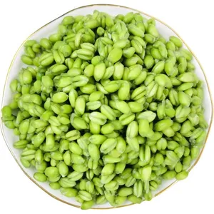 Fresh Frozen Green Wheat Berries - Chewy & Juicy Texture | Versatile for Rice & Soup thumbnail-4