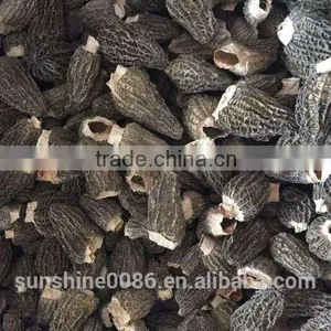 New Crop High Quality in Season Cultivating Morel Mushrooms Morchella thumbnail-3