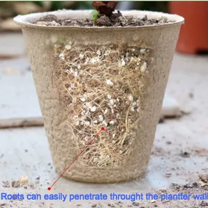 Disposable Jiffy Pot for Seedling Transplant Peat Pot 40 Cells per Flat thumbnail-5