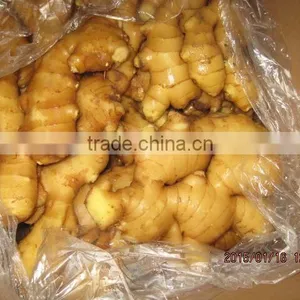 2016 New Crop Linyi Origin Air Dried Ginger thumbnail-1