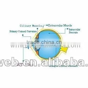 Medical Care Digital Professional Lens (ortho-k:MCT)/RGP/ thumbnail-1
