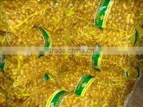 New Crop Sushi Ginger With Competitive Export Price thumbnail-1