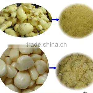 Good Feedback Garlic Grinding Machine thumbnail-5