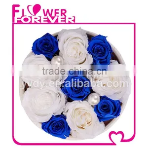 Top Selling Natural Preserved Roses thumbnail-3