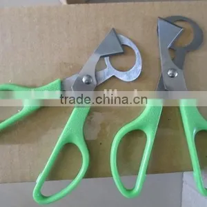 Reasonable Price Stainless Stell Quail Egg Scissors thumbnail-2