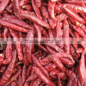 Dried Chilli thumbnail-2