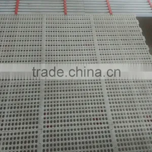 Plastic Slat Floor for Poultry House/ Poultry Plastic Slat Floor thumbnail-2