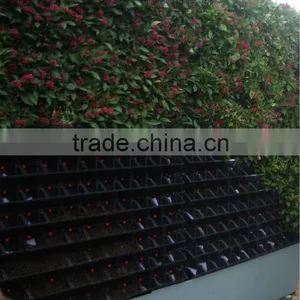 2012 New Virtical Garden Green Wall --pot Plant Supplier thumbnail-1