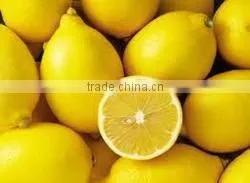 FRESH LEMON FROM SOUTH AFRICA thumbnail-1