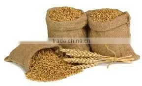Hard Milling Wheat thumbnail-3