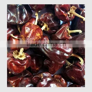 Dried Round Red Chille Pepper thumbnail-1