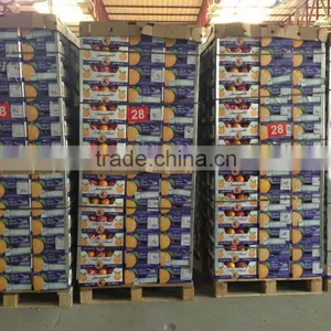 Weight of Navel and Valencia Orange From Egypt in 18 kg Cartons thumbnail-2