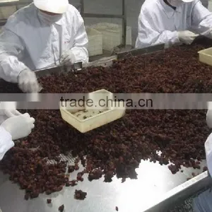 China Dried Sultana Raisin thumbnail-6