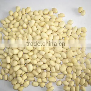 Blanched Peanut Kernels thumbnail-2