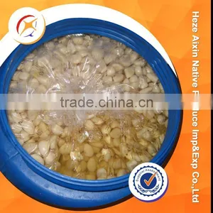 Garlic Segment In Brine thumbnail-2