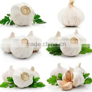 Pack in Mesh Bag or Carton Garlic thumbnail-4