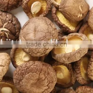 Dried Smoth Shiitake Mushroom thumbnail-2