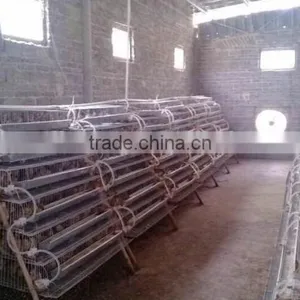 Galvanized A Type Layer Quail Cages for Sale in Kenya Farm thumbnail-2