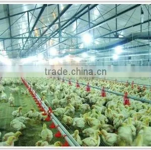 Floor-reared Chicken Equipment thumbnail-1