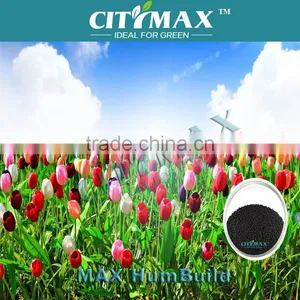 60% Humic Acid Dry Basis From Leonardite thumbnail-1