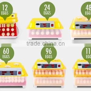 2016 Hotselling Automatic Egg Incubator,mini Egg Incubator Hotsale in UAE thumbnail-4