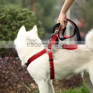 Durable Wholesale Pet Dog Leash and Harness thumbnail-1
